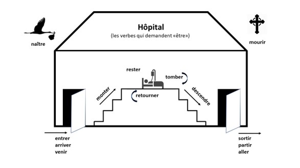 Hôpital des verbes avec être